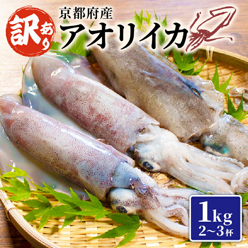 【ふるさと納税】 訳あり アオリイカ 約1kg 2~3杯 イカ 国産 烏賊 冷凍 海鮮 地物 イカ刺身 さしみ 刺身 刺し身 刺身用 天ぷら 煮付け 塩焼き イカ丼 焼きイカ イカリング イカフライ イカ天 おつまみ 魚介類 魚介 魚 和食 まるごと 1万円 一万円 10000円 1キロ 舞鶴 京都
