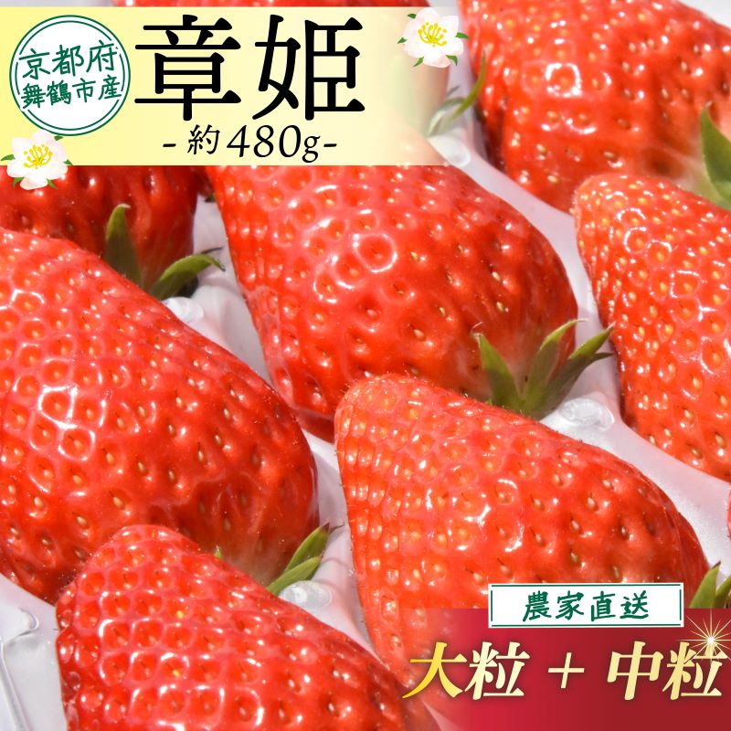 楽天市場】【ふるさと納税】【先行予約】2026年産 京都 蜜いちご（あき