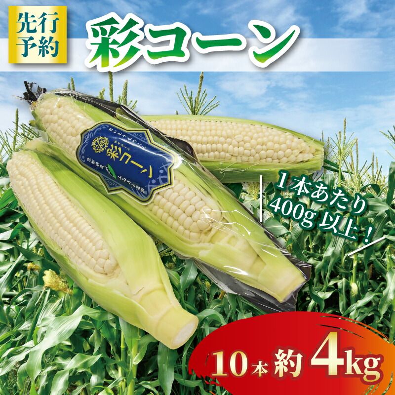 【ふるさと納税】 【2025年6月～7月発送】 彩コーン 約4kg 10本 ホワイトコーン とうもろこし 白いとうもろこし コーン スイートコーン 朝食 昼食 夕食 デザート おやつ 糖度 野菜 産地直送 京都 八幡 ふるさと農園