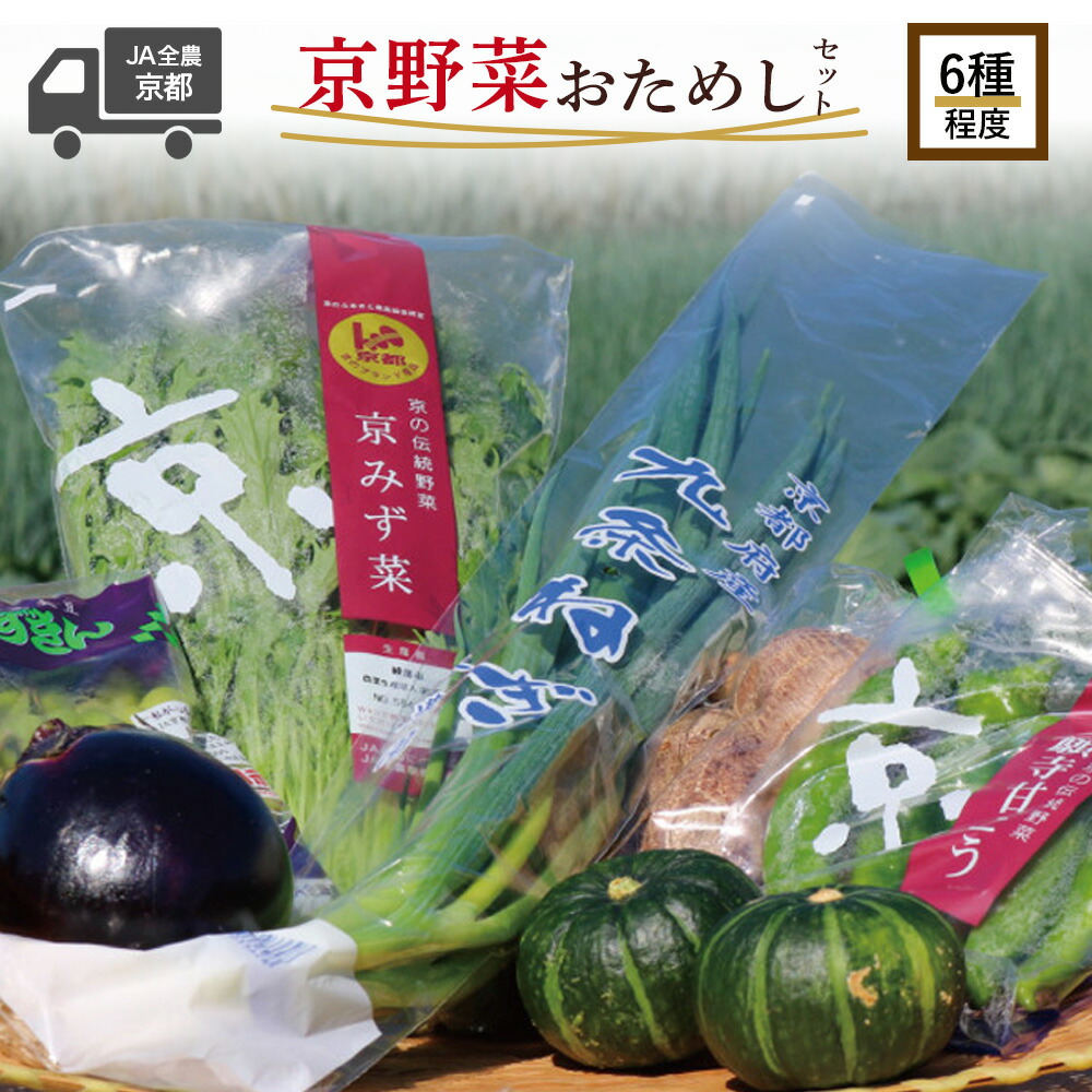 【ふるさと納税】 京野菜 おためし セット 6種 程度 野菜 詰め合わせ 京都 季節 旬 京野菜 栄養食 九条ネギ 万願寺 賀茂なす 京都府産 数量限定 冷蔵 サラダ 健康 お試し 9000円
