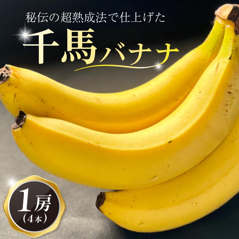 【ふるさと納税】 熟成 千馬バナナ 1房 (4~5本) 超熟成法仕立て 果物 バナナ ばなな 朝ご飯 朝食 おやつ 果実 フルーツ デザート スイーツ 甘味 美味しい 千馬Miyabi 城陽市 京都府
