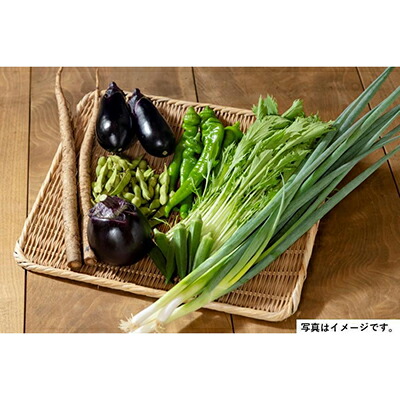 【ふるさと納税】＜２回　定期便＞【JA全農京都】半年に１回配送！季節の京野菜セット | 京都 京都市 野菜 定期便 季節 京野菜 JA全農京都 セット 詰め合わせ