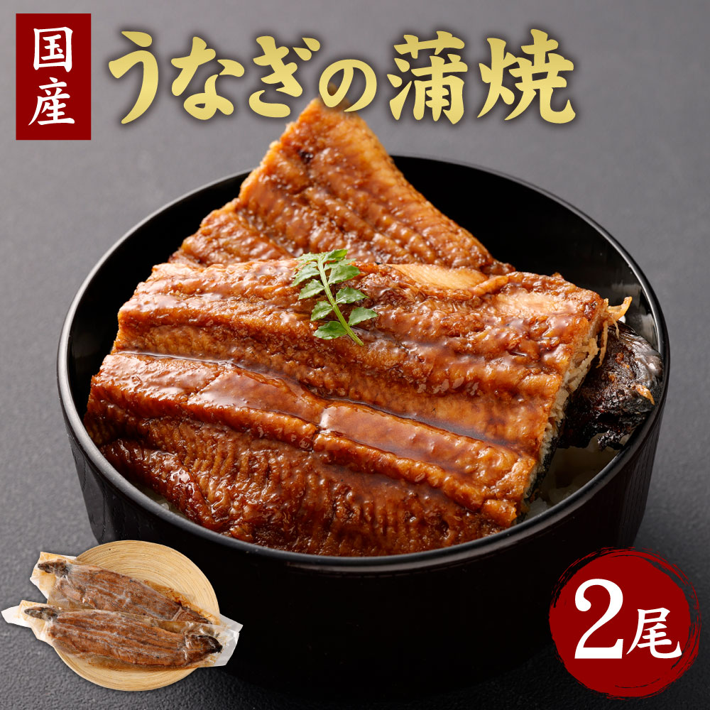 【ふるさと納税】【うなぎ玄】伏見の名水仕込み　国産備長炭 うなぎ 蒲焼き 2本セット | 2尾 タレ 山椒 付き 鰻 ウナギ 蒲焼 炭火焼き 冷凍 お取り寄せ 人気 おすすめ 京都府 京都市