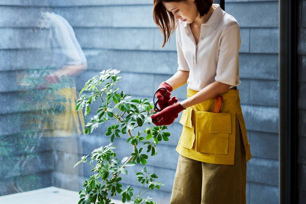 一般受けおせち特集｜2026年おすすめおせち一皿分の料理【京都市ふるさと納税】