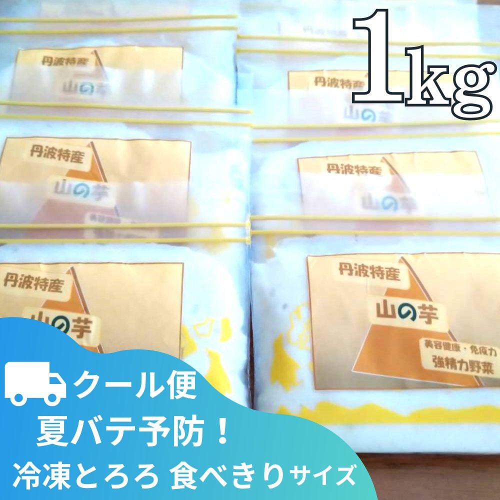 【ふるさと納税】【芋家なか吉】丹波山の芋すりおろし 冷凍 とろろ１kg (10パック) ［ 京都 芋 いも イモ 便利 小分け 新鮮 人気 おすすめ お取り寄せ 通販 ふるさと納税 ］