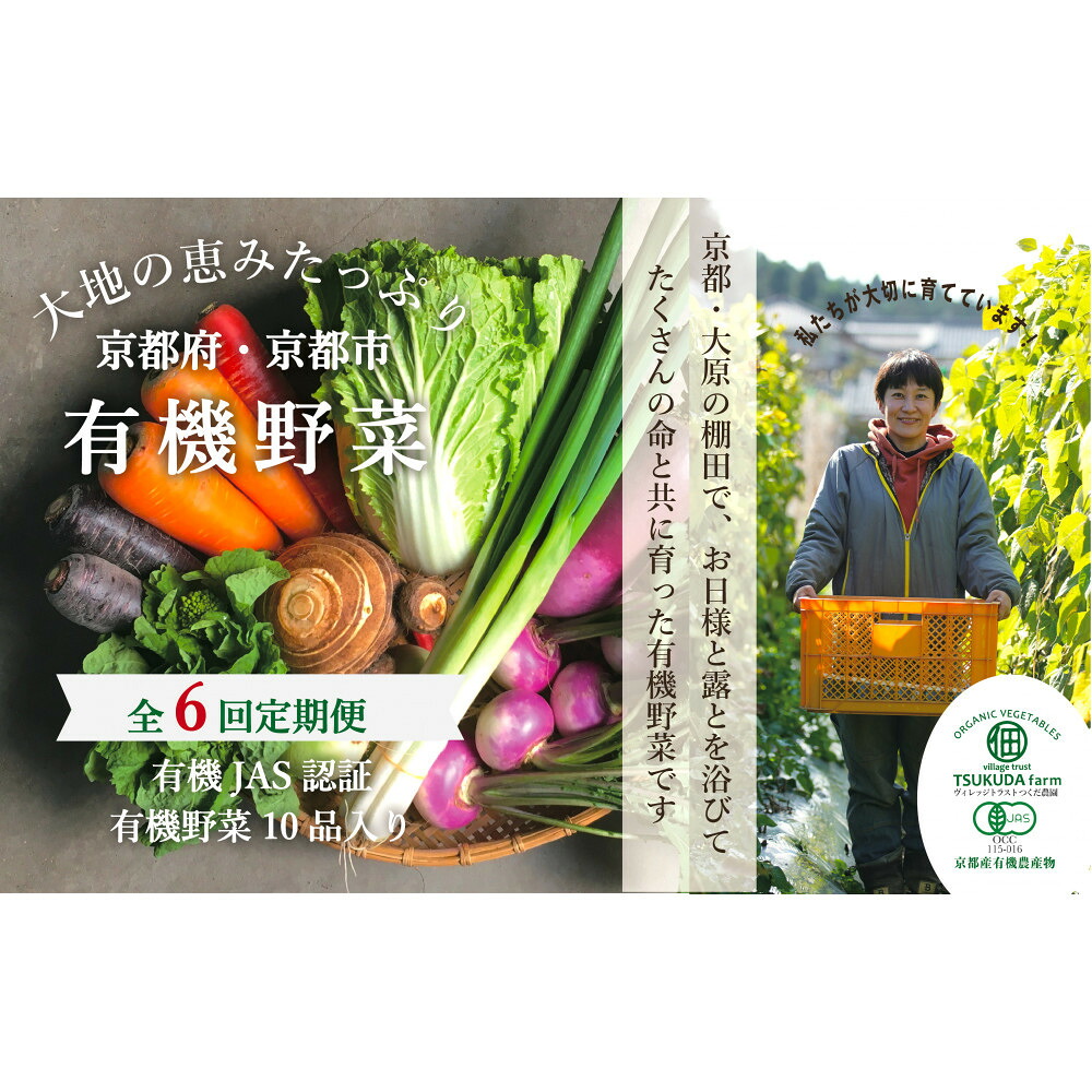 【ふるさと納税】◆全6回定期便◆【つくだ農園】《有機JAS認証 有機野菜10品入り》京都の棚田大原で心を込めて大切に露地栽培された大地の恵みたっぷりの有機野菜!［ 京都 有機野菜 定期便 セット 人気 有機栽培 おまかせ 詰め合わせ 産地直送 新鮮 送料無料 ふるさと納税 ］