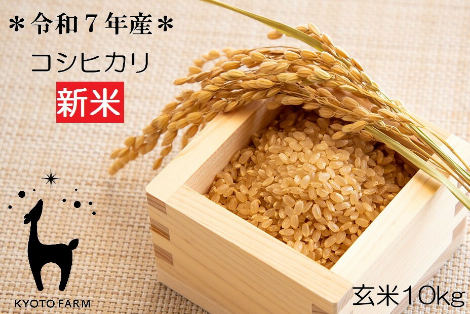 新米コシヒカリ玄米10kg ふるさと納税】【新米先行受付】【京都ファーム】令和7年産 京都