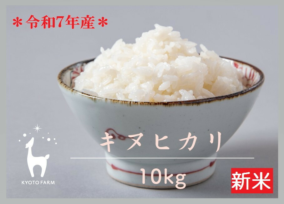 お米10kg ふるさと納税】【新米先行受付】【京都ファーム】令和7年産 京都