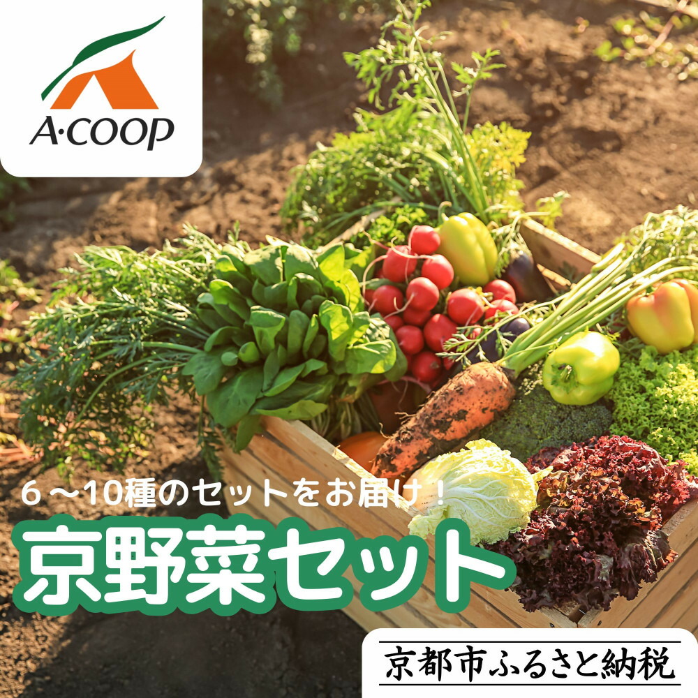 【ふるさと納税】【エーコープ京都中央】おまかせ京野菜セット［ 京都 野菜 新鮮 人気 おすすめ 美味しい 旬の野菜 上賀茂野菜 スタッフ厳選 詰め合わせ お取り寄せ 通販 送料無料 ふるさと納税 ］ 7,600円
