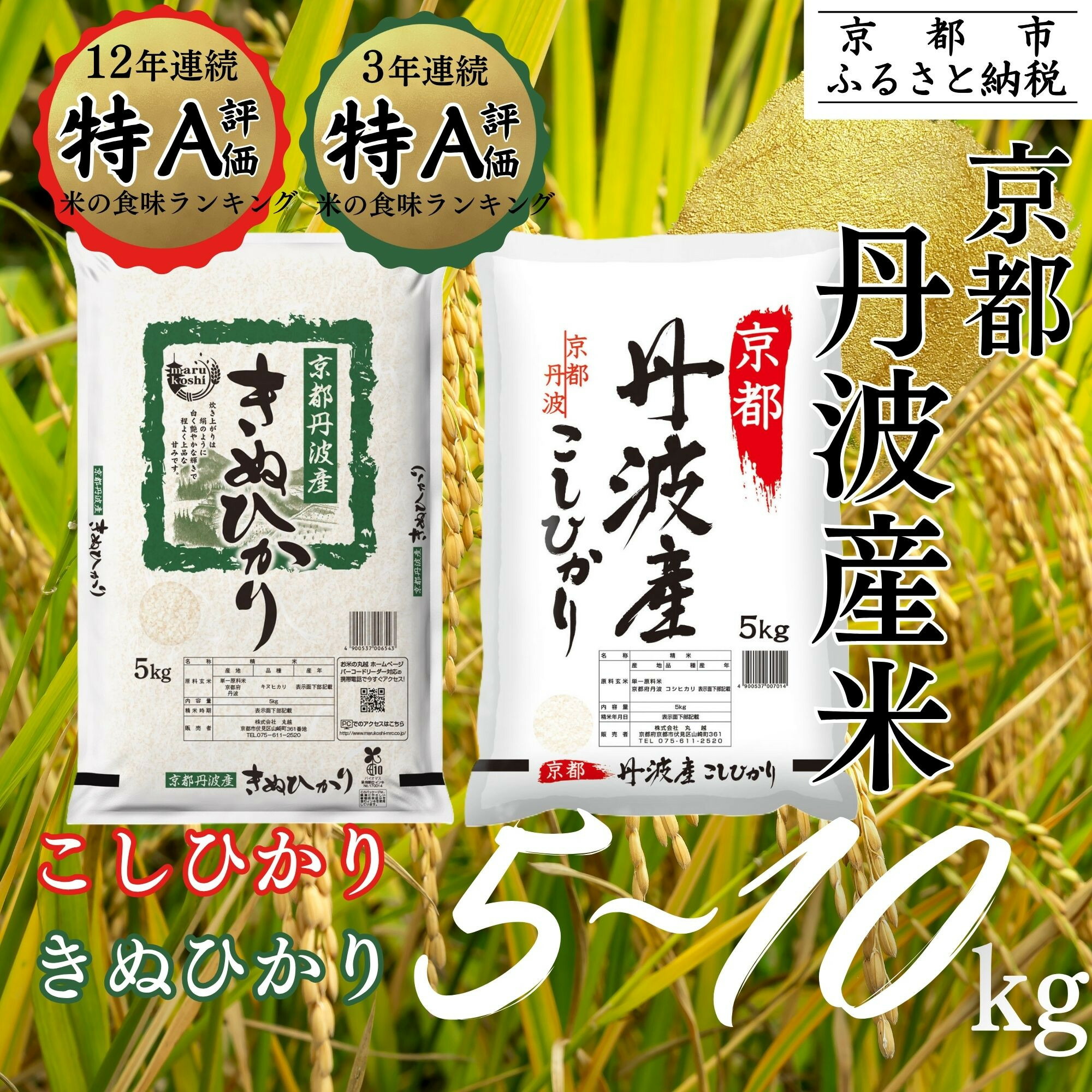 ふるさと納税 与謝野町 京都府産「京の豆っこ米」10kg　農家直送 ふるさと納税 与謝野町 京都府産「京の豆っこ米」10kg 農家直送
