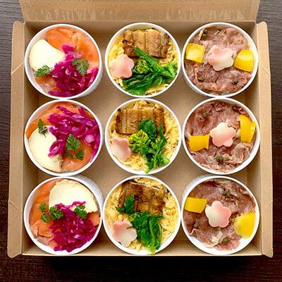 【ふるさと納税】【花梓侘】coco寿し（9個入り） | ちらし寿司 逸品 冷凍 惣菜 穴子 チーズ 牛 お取り寄せ お土産 グルメ ご当地 ギフト お祝い おもてなし ご家庭用 ご自宅用 内祝い 京都府 京都｜京都府京都市