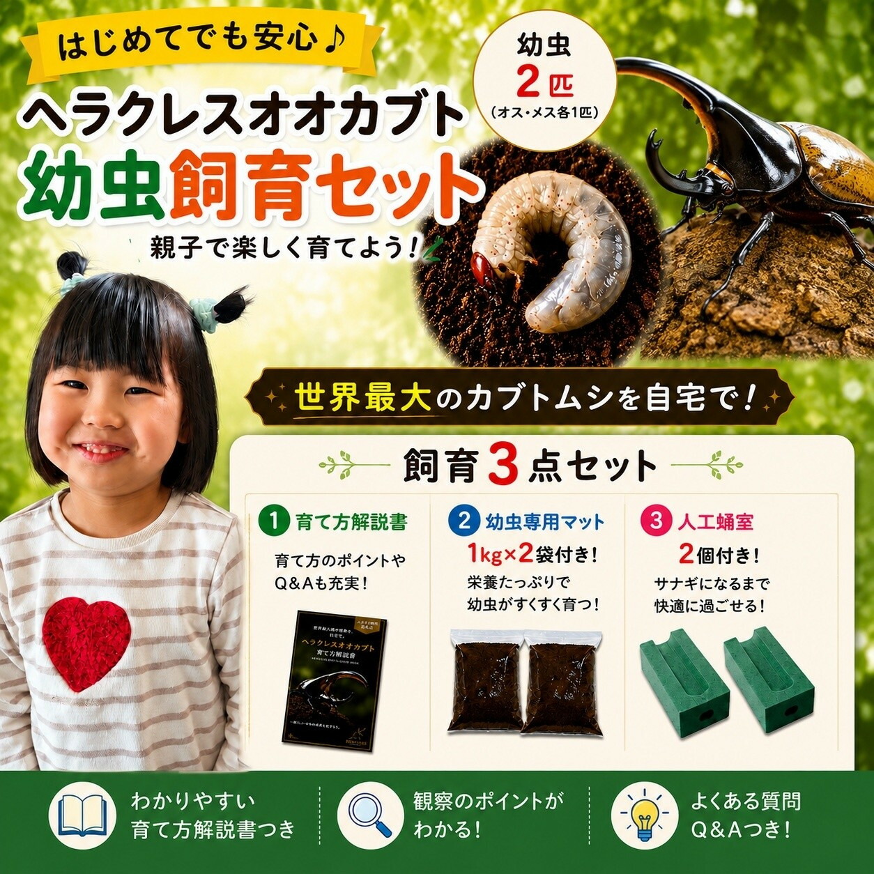 一般受けおせち特集｜2026年おすすめおせち一皿分の料理【京都市ふるさと納税】
