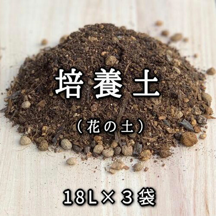 一般受けおせち特集｜2026年おすすめおせち一皿分の料理【京都市ふるさと納税】