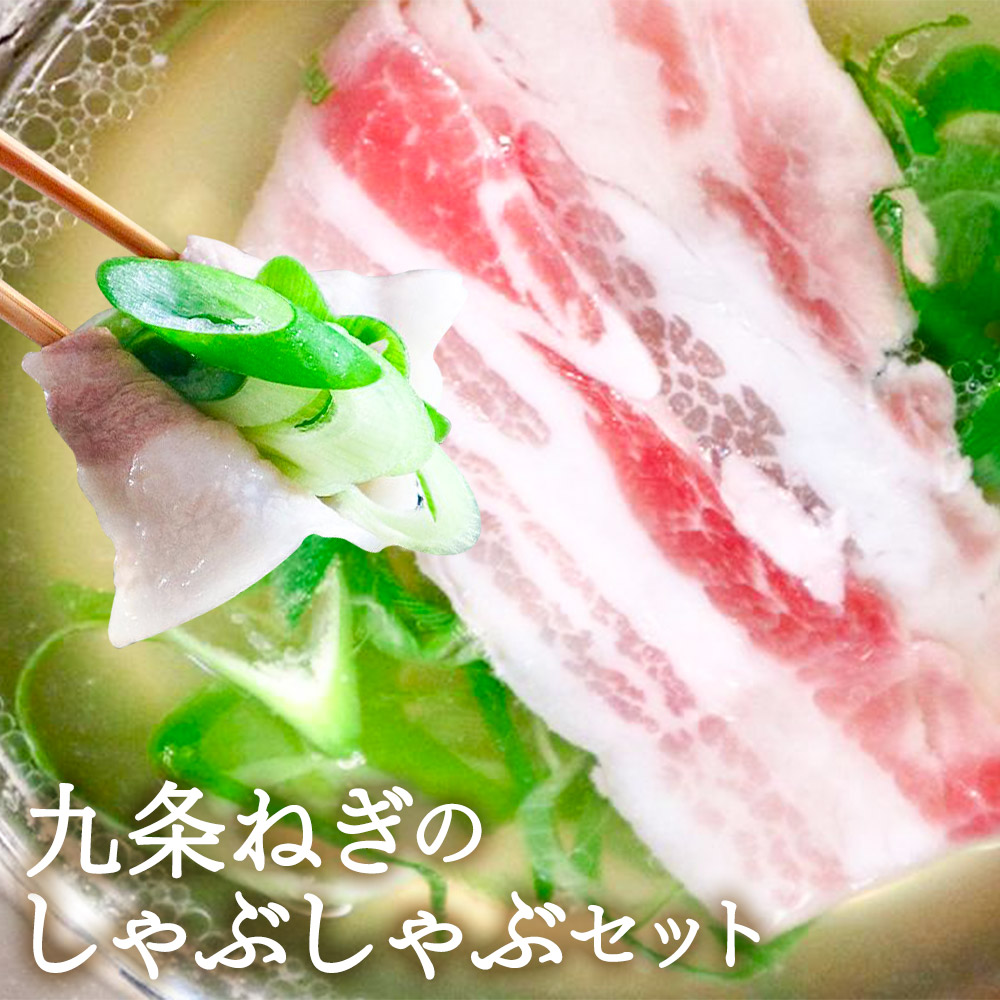 【ふるさと納税】〈こと京都（本社）〉《毎月29日お届け》九条ねぎのしゃぶしゃぶセット | 京都府 京都市 京都 九条ねぎ しゃぶしゃぶ セット 銀閣寺大西 豚バラ肉 肉 500g 塩ポン酢 逸品 お取り寄せ お土産 ご当地 グルメ ギフト お祝い ご家庭用 ご自宅用 こと京都