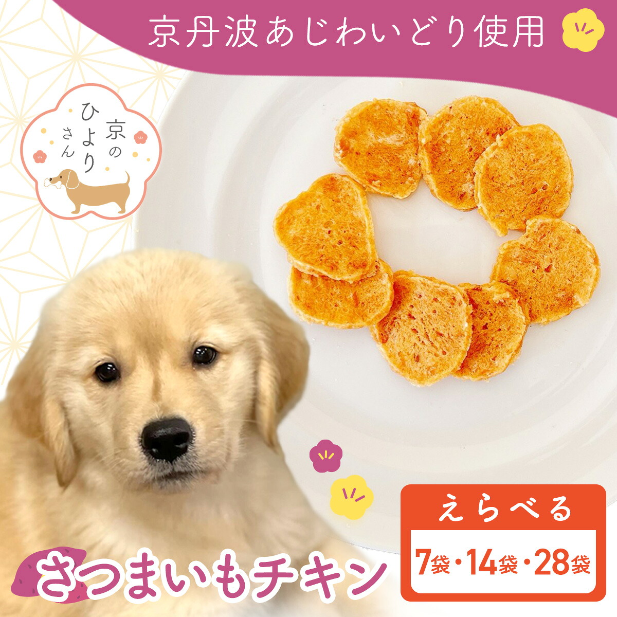 献ずる額10000円以下！おためししっぺい返し品特集