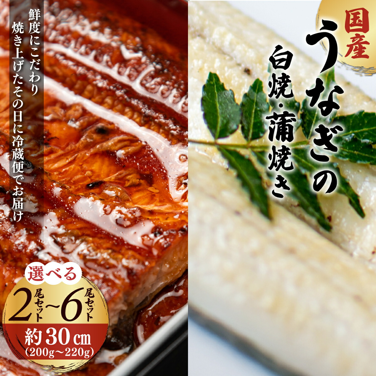 【ふるさと納税】＜選べる容量＞地元飲食店に愛される美味さにこだわった「国産うなぎの蒲焼き＆国産うなぎの白焼きセット」 (各1尾/各2尾/各3尾) 特上 うなぎ 蒲焼 ウナギ 鰻蒲焼き うなぎ蒲焼き 白焼き 【fc-ZF003】【由良川漁業協同組合】
