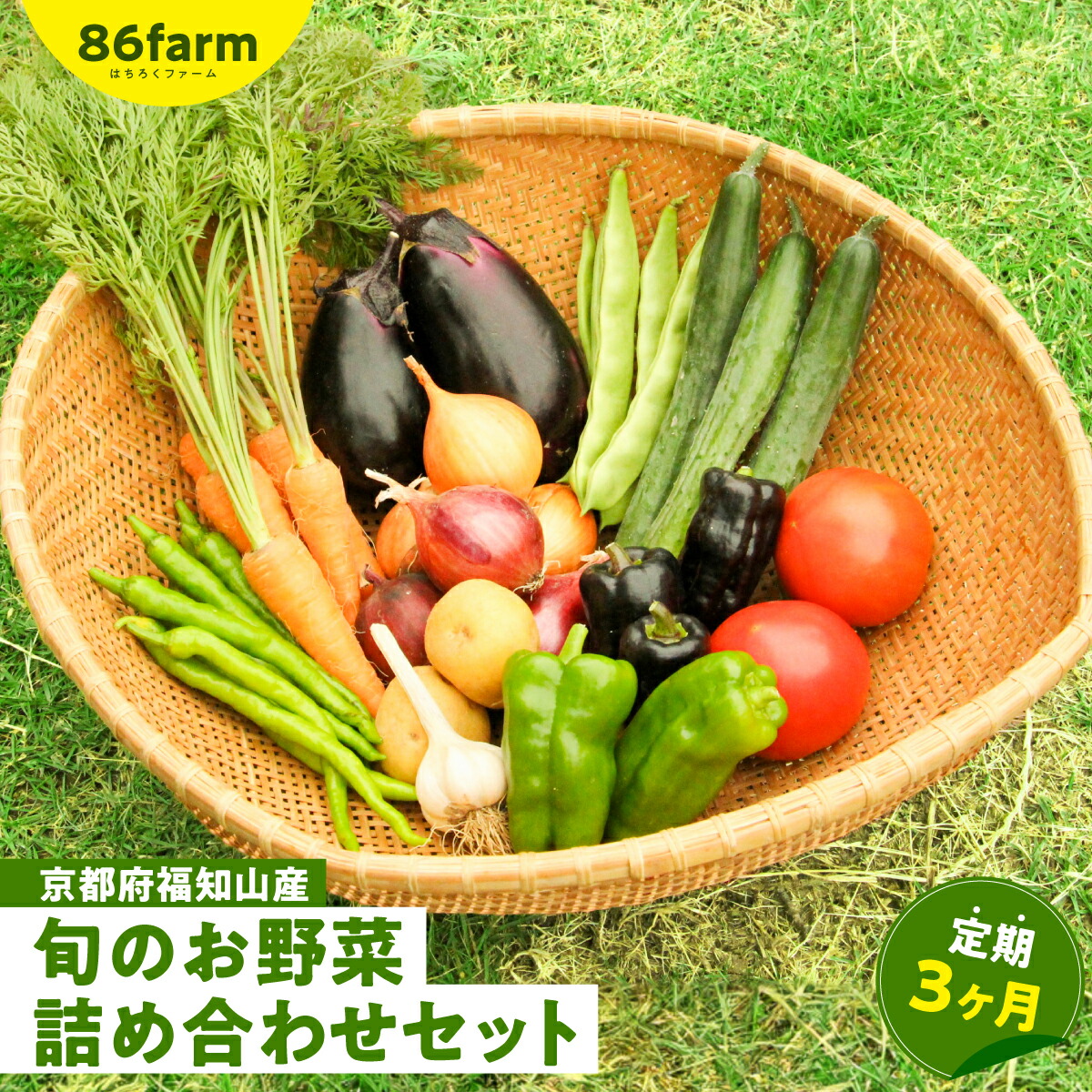 【ふるさと納税】 京都府福知山産　旬のお野菜詰め合わせセット（定期便３カ月） ふるさと納税 旬の野菜 詰め合わせ セット 栽培期間中農薬 肥料不使用 京都府 福知山市 FCAM002
