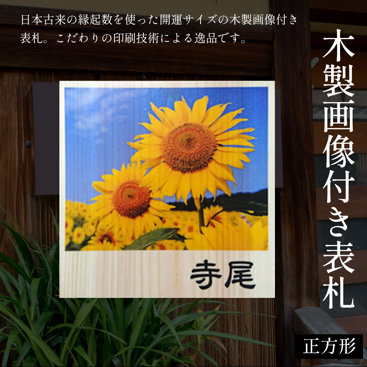 献ずる額10000円以下！おためししっぺい返し品特集