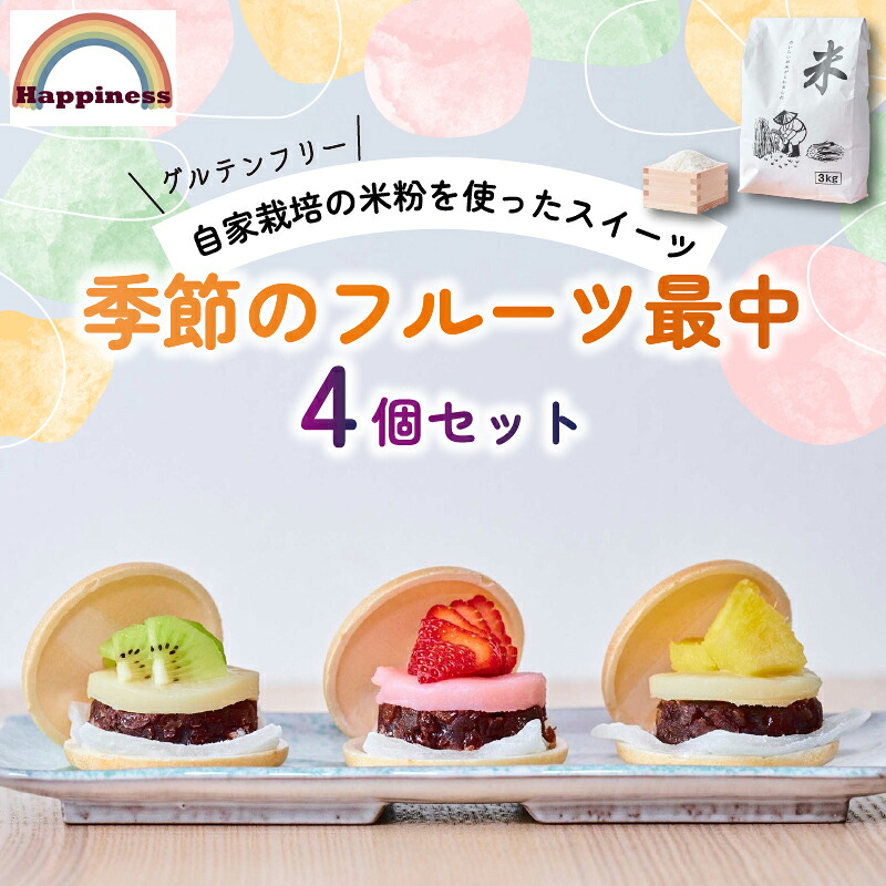 【ふるさと納税】季節のフルーツ最中セット(計4個) フルーツ最中 フルーツ 最中 和菓子 米粉 グルテンフリー 厳選 くだもの デザート 【fc-DY002】【Happiness】｜京都府福知山市