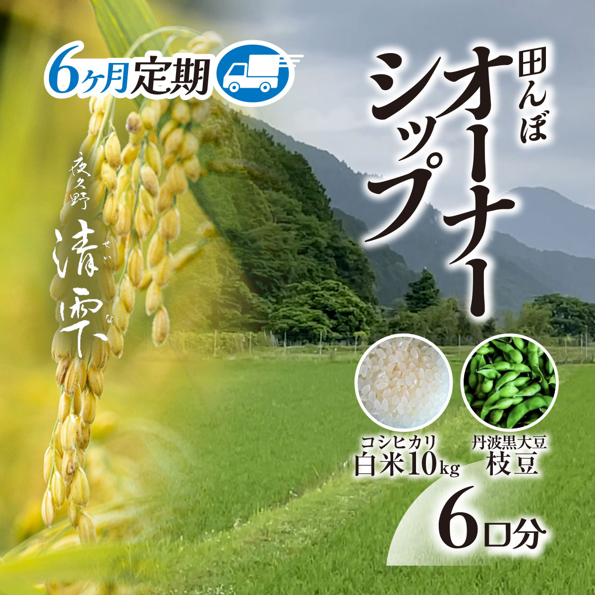 【ふるさと納税】<先行予約受付中!><令和8年10月末より発送!><6ヶ月定期>田んぼオーナーシップ 清雫 (6口分・白米10kg・黒ムラサキ) 田んぼ オーナー制度 米 白米 令和8年産 【fc-DB002-C】【夜久野 清雫】|京都府福知山市