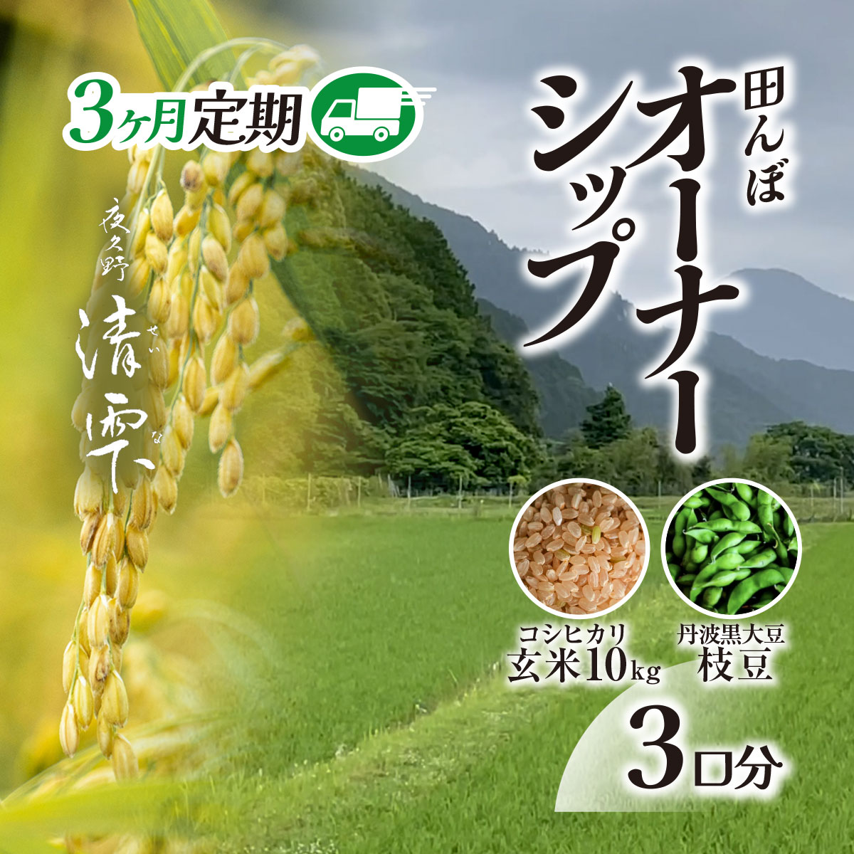 【ふるさと納税】＜令和7年9月末より発送！＞【3ヶ月定期】田んぼオーナーシップ3口分　清雫　玄米10kg+黒ムラサキ（丹波黒大豆の枝豆）/ ふるさと納税 田んぼ オーナー制度 米 玄米 令和7年度産 先行 定期 10kg 3回 収穫 夜久野 京都 京都府 福知山 FCDB006