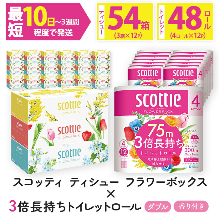 【ふるさと納税】<ボックスティッシュ&トイレットロールセット>スコッティ ティシュー フラワーボックス 250組 54箱&スコッティ フラワーパック 3倍長持ち 48ロール (ティッシュ3箱×18・トイレットロール4ロール×12)【fc-AS004-B】【日本製紙クレシア株式会社】|京都府福知山市