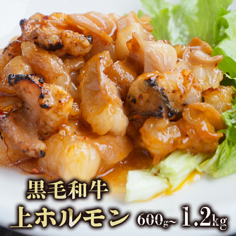 【ふるさと納税】国産 黒毛和牛 上トロホルモン 600g / 1.2kg｜150g小分けパック 冷凍 秘伝タレ 旨辛 焼肉 BBQ 京都 舞鶴