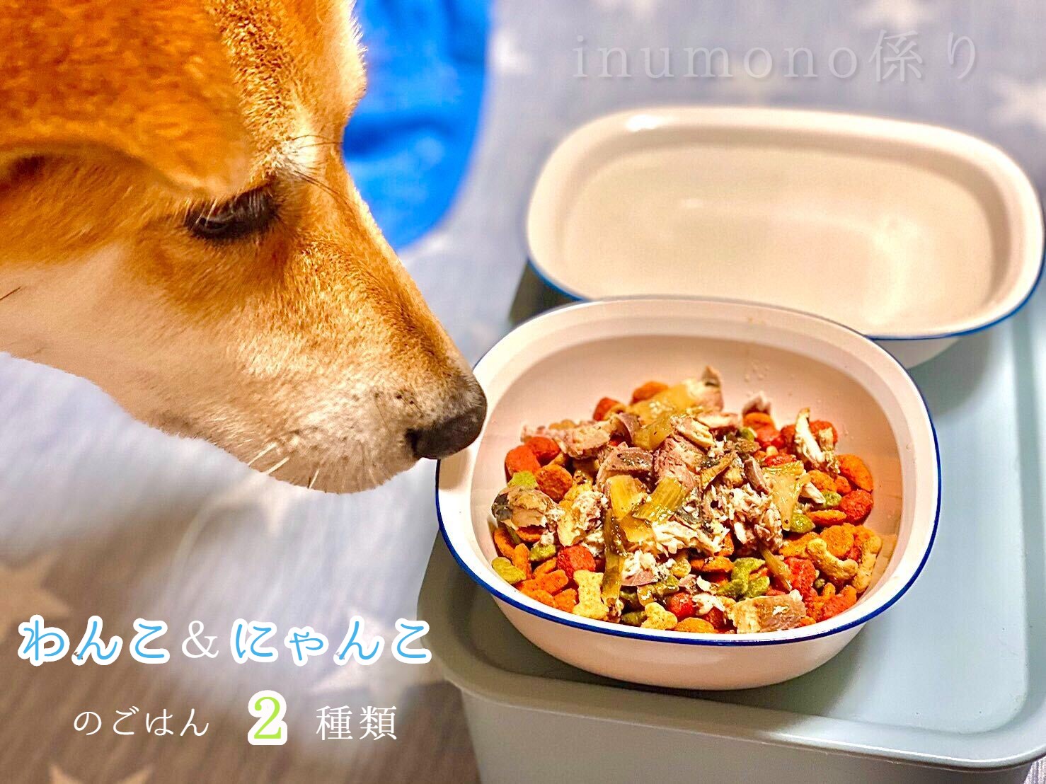 犬猫用 レトルト 犬猫用 自然食材 パウチ ヒューマングレードの安心安全犬猫用ご飯 高齢 リハビリ中の食事に 安心安全 ふるさと納税 無添加 レトルト ドッグフード ペットフード ワンコとニャンコのご飯2種類4袋 送料無料 ペットフード 京都府舞鶴市 ペット用品