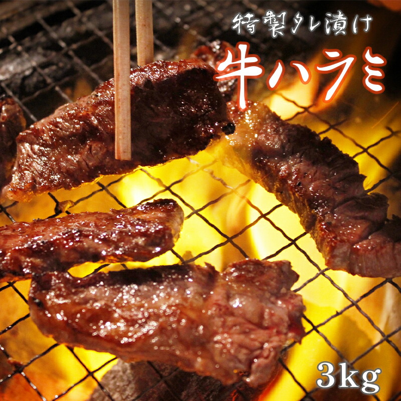 ハラミ 焼肉 牛肉 焼き肉 特製タレ漬け 3kg 大容量 【72%OFF!】