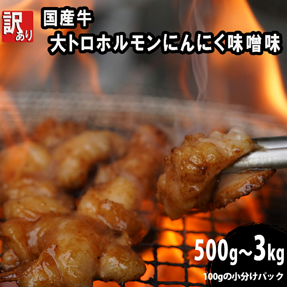【ふるさと納税】【訳あり】国産牛 大トロホルモン 500g～3kg｜にんにく味噌味 100g小分け 味付けホルモン 焼肉 ホルモン焼き 冷凍 京都 舞鶴 幸福亭