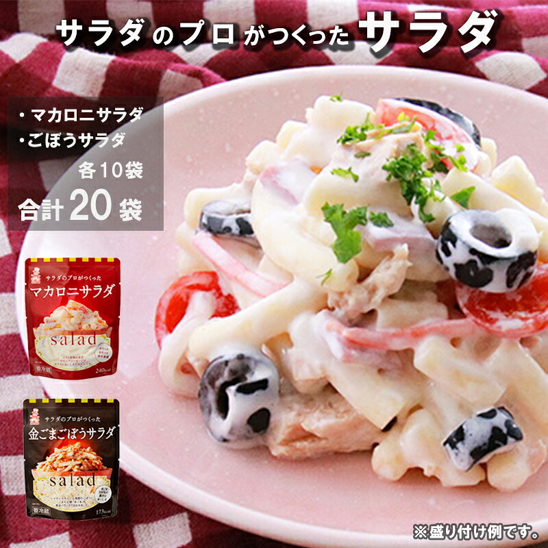 【ふるさと納税】 サラダのプロがつくった サラダ 2種類 セット 20袋 個包装 マカロニサラダ ごぼうサラダ レトルト パウチ 惣菜 サラダ 京都 舞鶴｜京都府舞鶴市