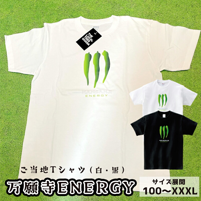 楽天市場】【ふるさと納税】霧島レイ10th Tシャツ(1枚・フリーサイズ