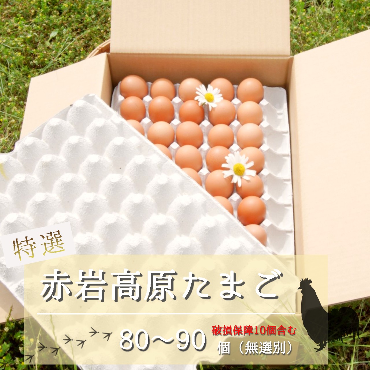 【ふるさと納税】 赤岩高原たまご 80～90個入（特選/無選別Ｍ～Ｌ） 4.8kg以上 卵 大人数用