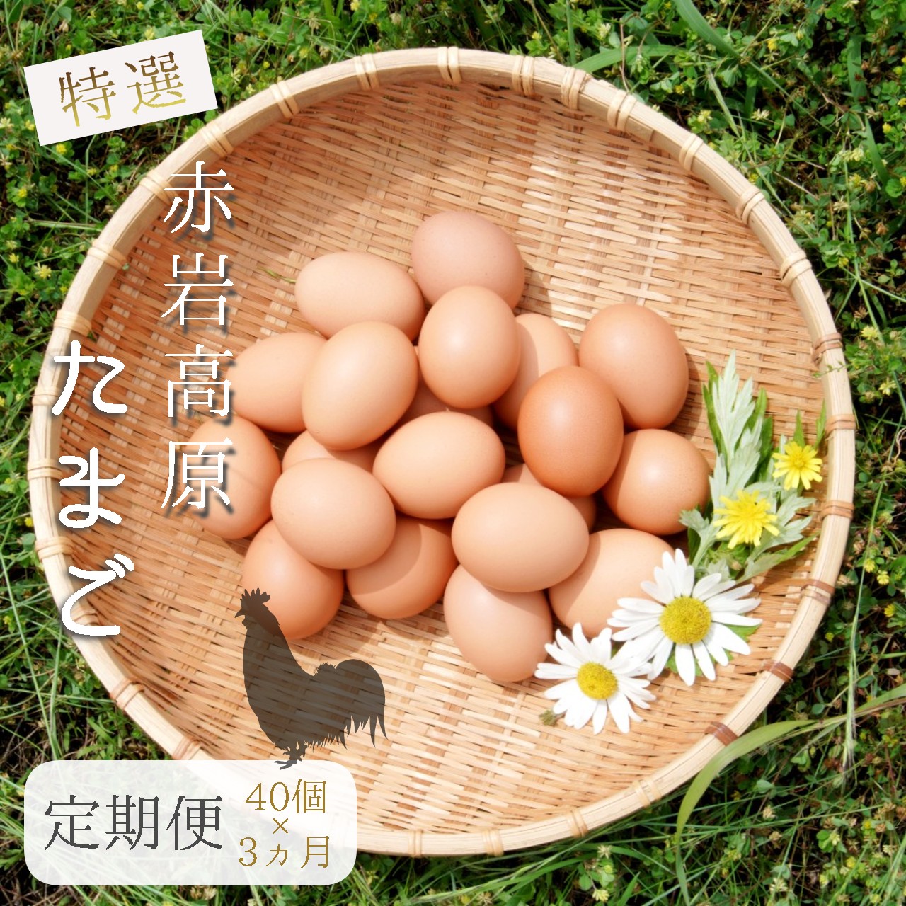 【ふるさと納税】 【定期便】 赤岩高原たまご 40個×3か月 120個（特選） 7.2kg以上 卵 タマゴ M～L サイズ