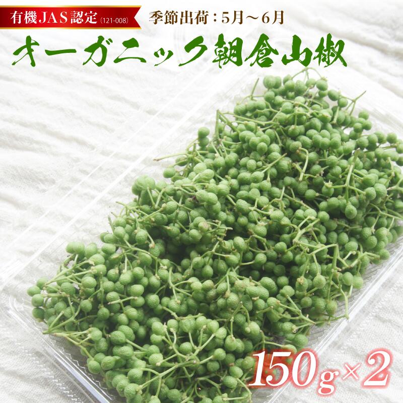 【ふるさと納税】有機JAS 朝倉山椒 実山椒 生 300g（150g×2）先行予約 数量限定 京都府舞鶴市産 オーガニック 採れたて 農家直送