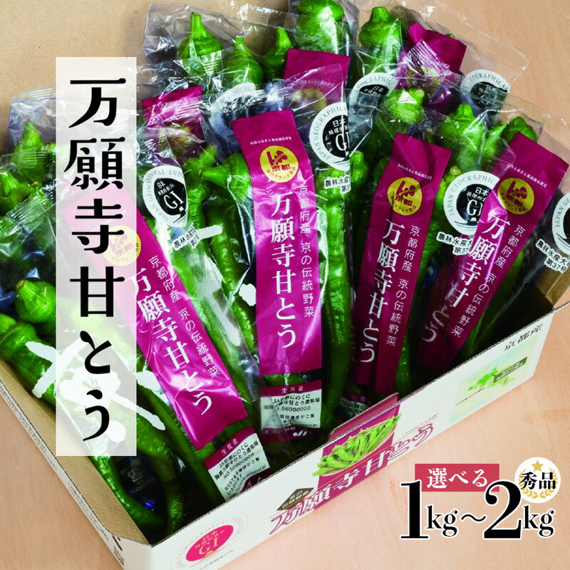 【ふるさと納税】 【2025年夏発送分】 万願寺甘とう 化粧箱入 秀品 1kg～2kg 野菜 万願寺 万願寺とうがらし 甘唐辛子 甘とう 辛くない 夏野菜 緑黄色野菜 伝統野菜 地場野菜 地物 農協直送 京野菜 特産品 詰め合わせ ギフト 旬の野菜 京都産 舞鶴産 京都 舞鶴 舞鶴市JA