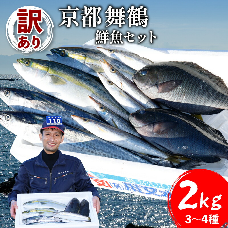 【ふるさと納税】 訳あり 鮮魚 詰め合わせ セット 約2kg 3～4種｜朝獲れ 旬魚 冷蔵 直送 鮮度抜群 地魚 おまかせ 魚介類 あじ サバ 鯛 いわし サゴシ カマス など