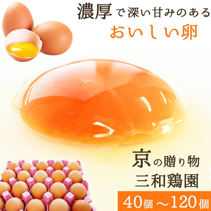 【ふるさと納税】 新鮮 卵 40～120個 赤卵 無選別 MS～LL 冷蔵 京都 舞鶴 三和鶏園
