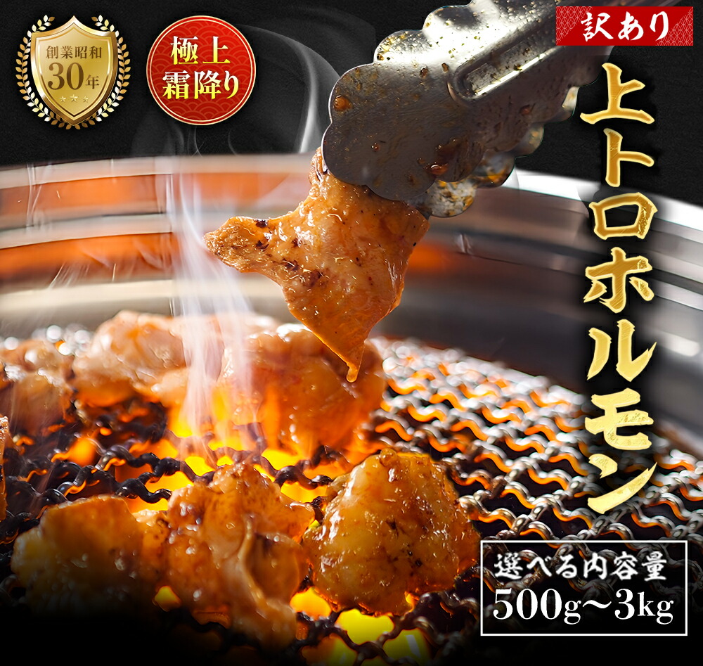 【ふるさと納税】【訳あり】国産 牛 霜降り 上トロホルモン 500g～3kg｜秘伝タレ付き 冷凍 小分け 真空パック 家庭用 ホルモンうどん用 京都 舞鶴 八島丹山