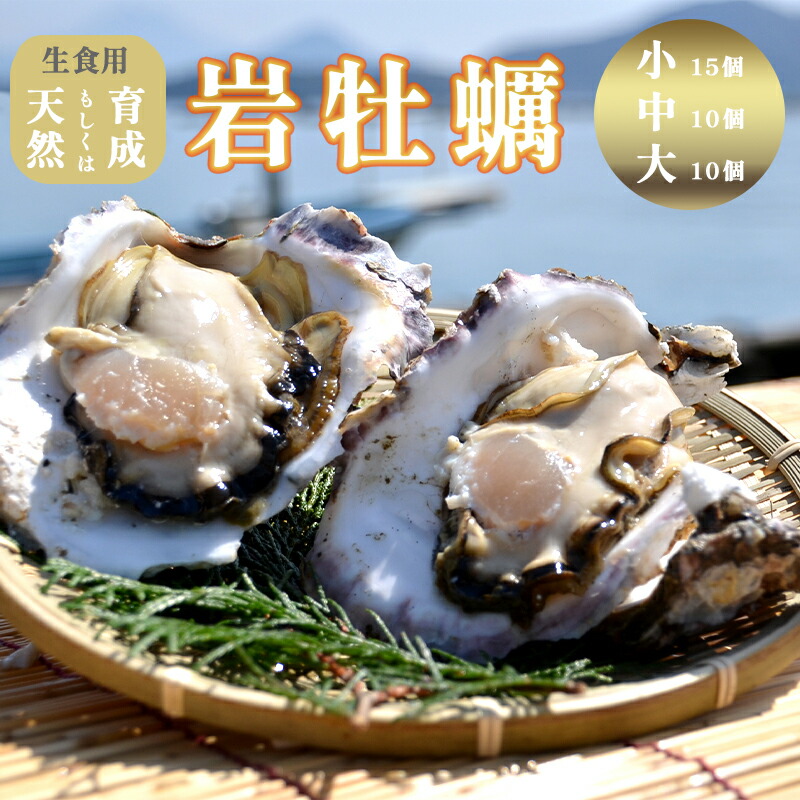【ふるさと納税】 岩がき 小/中/大 10～15個入 3～4kg前後 生食用 京都府 舞鶴産 牡蠣 【～8月中頃まで発送】 訳あり 天然 育成 養殖 岩牡蠣 牡蠣 いわがき 貝 海鮮 魚介類 舞鶴湾かき小屋 美味星