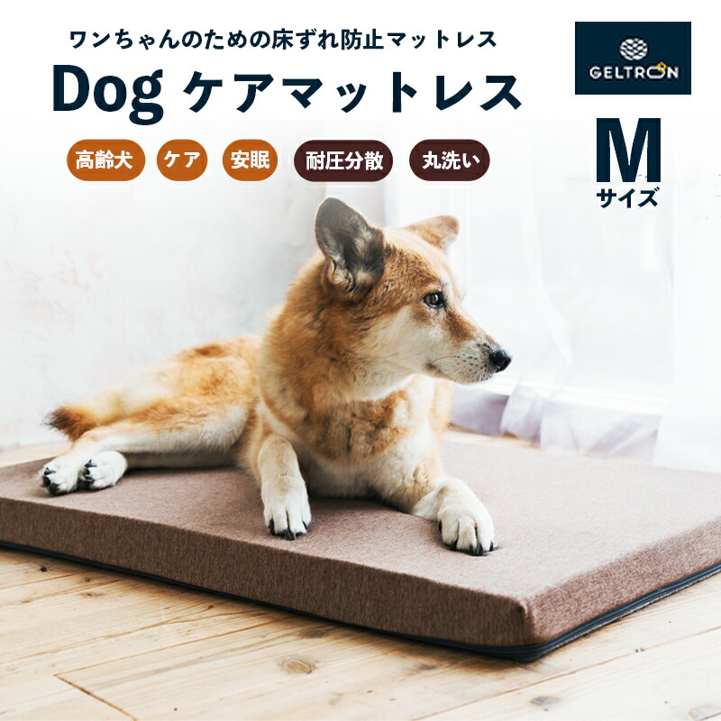 【ふるさと納税】ジェルトロン 犬用 マットレス M 介護ベッド 床ずれ防止 老犬 シニア犬 ペットベッド 丸洗い GELTRON 京都 舞鶴市｜京都府舞鶴市