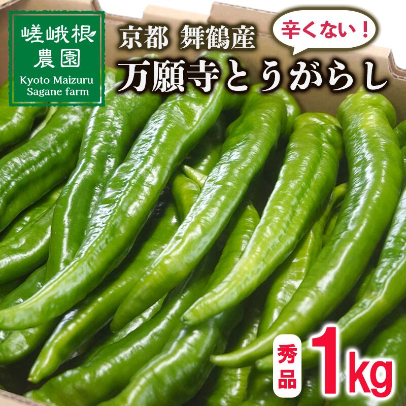 【楽天市場】【ふるさと納税】 【5月中旬~11月下旬発送】 万願寺 とうがらし 1kg 秀品 辛くない 美味しい おいしい 肉厚 甘い 旬 ...