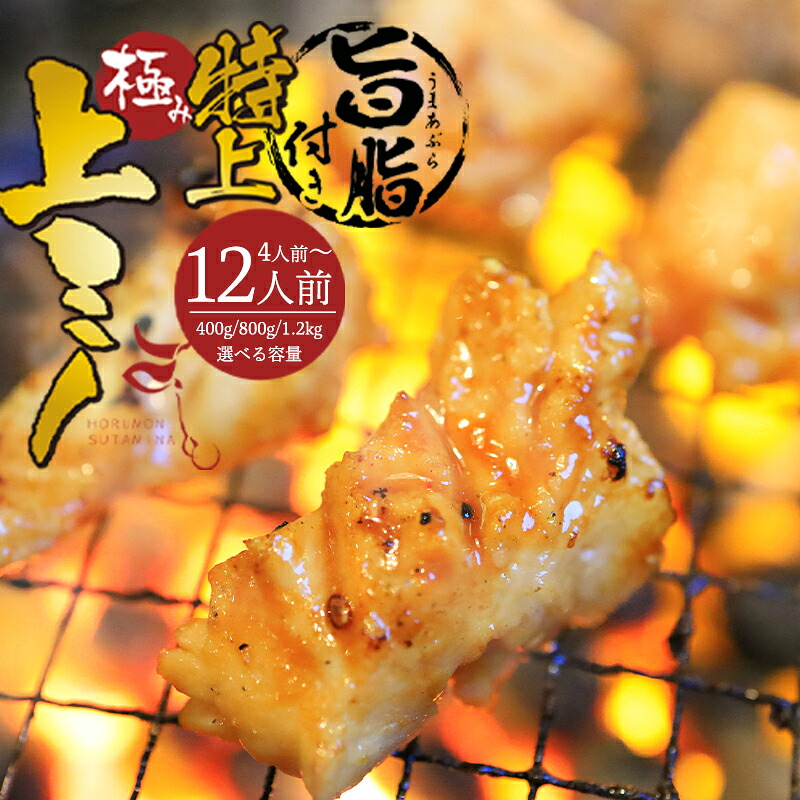 【ふるさと納税】国産牛 上ミノ 旨脂付き 400g / 800g / 1.2kg|附属タレ 冷蔵 焼肉 ホルモン BBQ 贈答 京都 舞鶴|京都府舞鶴市