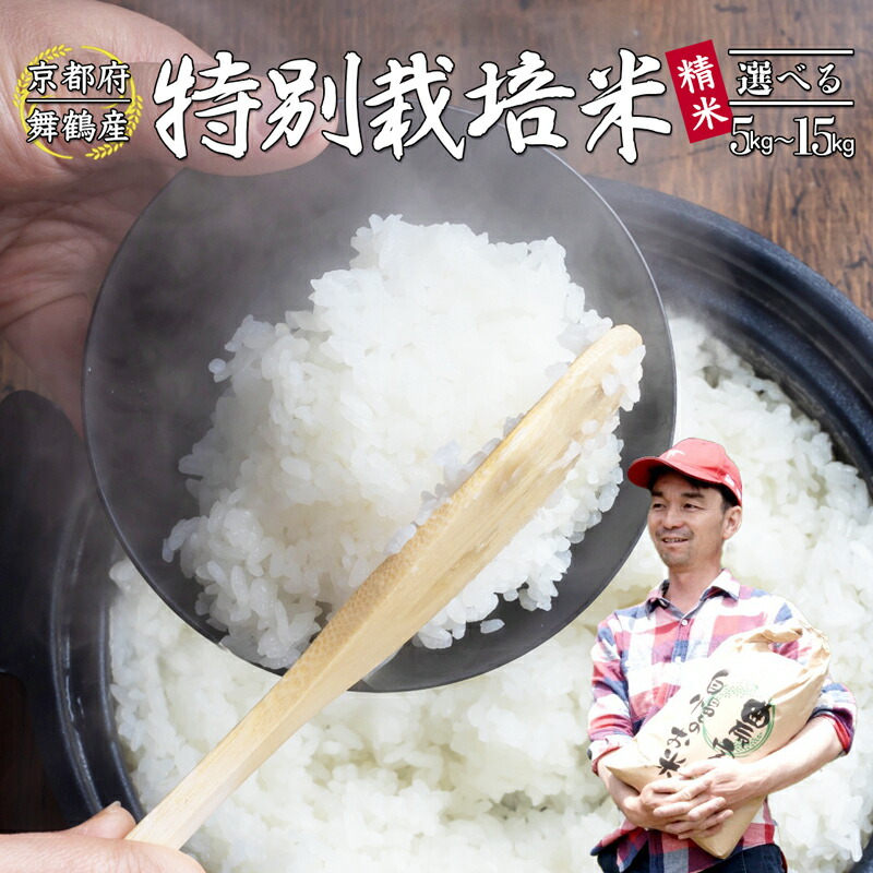 楽天市場】【ふるさと納税】 【令和7年度産 新米 先行予約