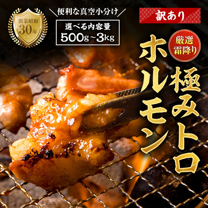 【ふるさと納税】【訳あり】国産 霜降り 極トロホルモン 400g～1.8kg｜秘伝タレ付き 冷凍 真空パック 家庭用 ホルモン 京都 舞鶴市 八島丹山