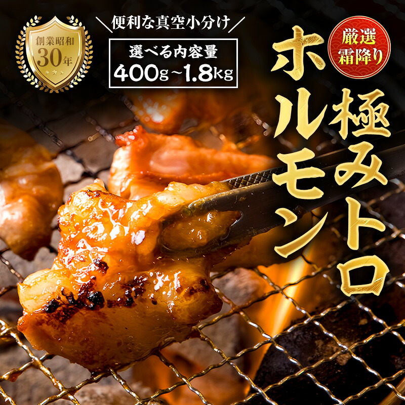 【ふるさと納税】国産 霜降り 極トロホルモン 400g～1.8kg｜秘伝タレ付き 冷凍 真空パック 家庭用 ホルモン 京都 舞鶴市 八島丹山