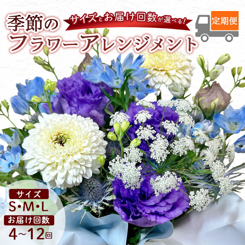 【ふるさと納税】【選べる定期便】 季節のフラワーアレンジメント S/M/L （ 4回 6回 12回 ） | 発送月固定 花 お花 生花 フラワー フラワーアレンジメント 花束 花の定期便 定期便 配送地域限定 京都府 綾部市