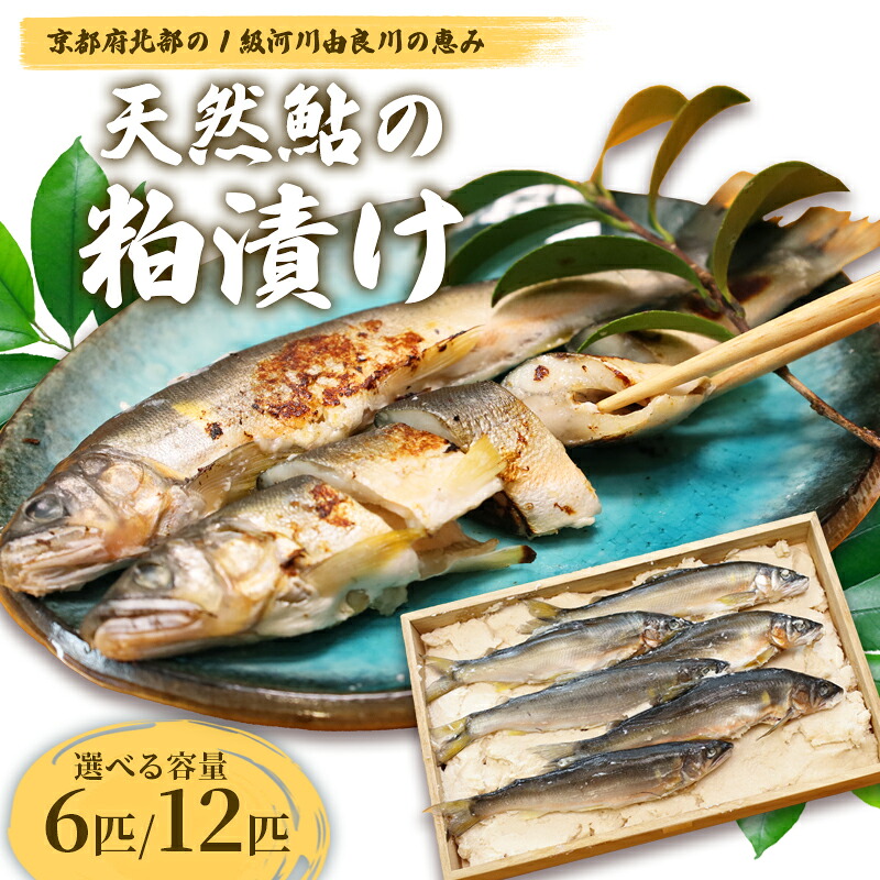 【ふるさと納税】天然鮎の粕漬け 6匹/12匹 【 由良川漁協 あゆ 鮎 アユ 魚 魚介 川魚 海鮮 漬け魚 粕漬け 酒粕 天然 大人 贅沢 おつまみ 酒の肴 珍味 綾部 京都 】