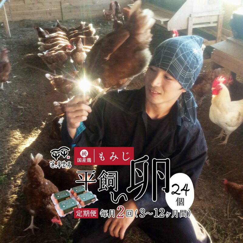 【ふるさと納税】【定期便月2回・選べる月数】京都奥丹波 純国産鶏もみじ 平飼いたまご 24個×月2回×3～12ヶ月【 定期便 平飼い卵 卵定期便 たまご定期便 自家配合 たまご タマゴ 高級卵 平飼い 卵 国産 地産地消 純国産鶏 もみじの平飼い卵  綾部 京都 蓮ヶ峯農場 】