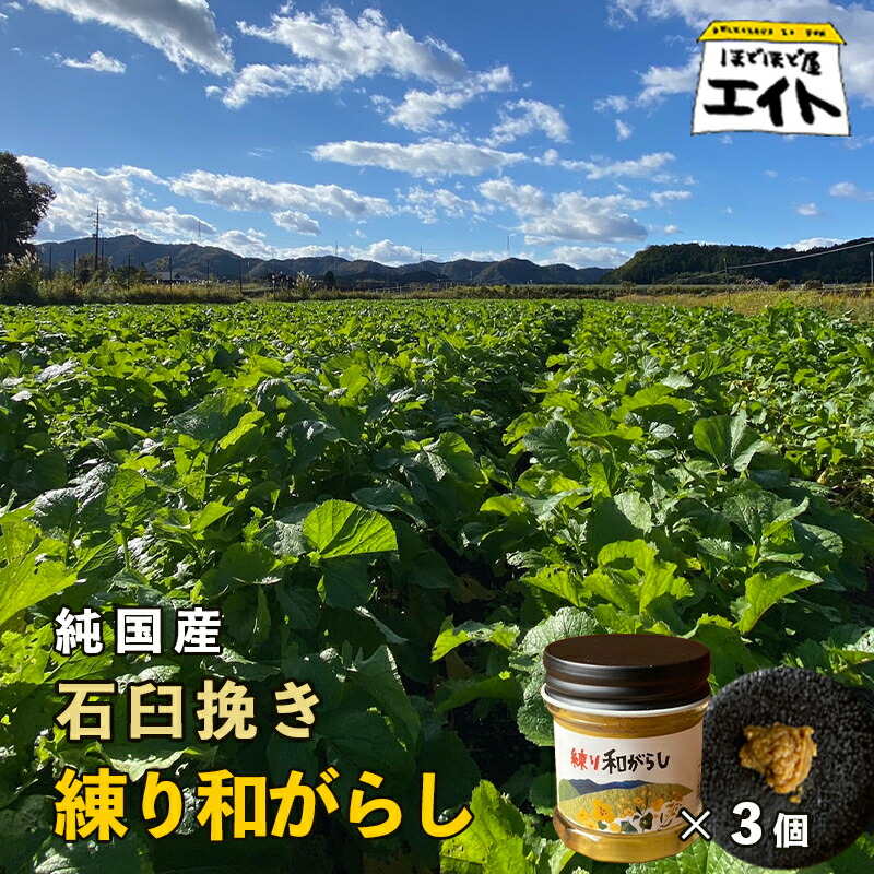 【ふるさと納税】純国産 石臼挽き 練り和がらし3個セット 【 国産 からし 和辛子 辛子 石臼挽き 練りからし セット 和がらし 詰め合わせ ギフト 農家直送 贈答 プレゼント 京都 綾部 】